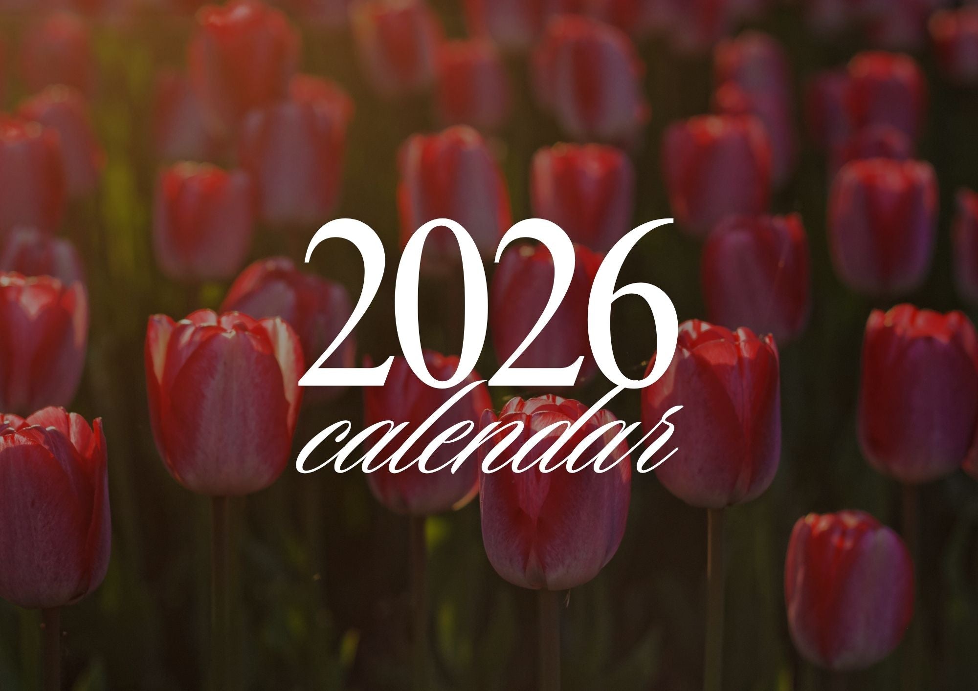 Ayını Yönet, Hayatını Tasarla