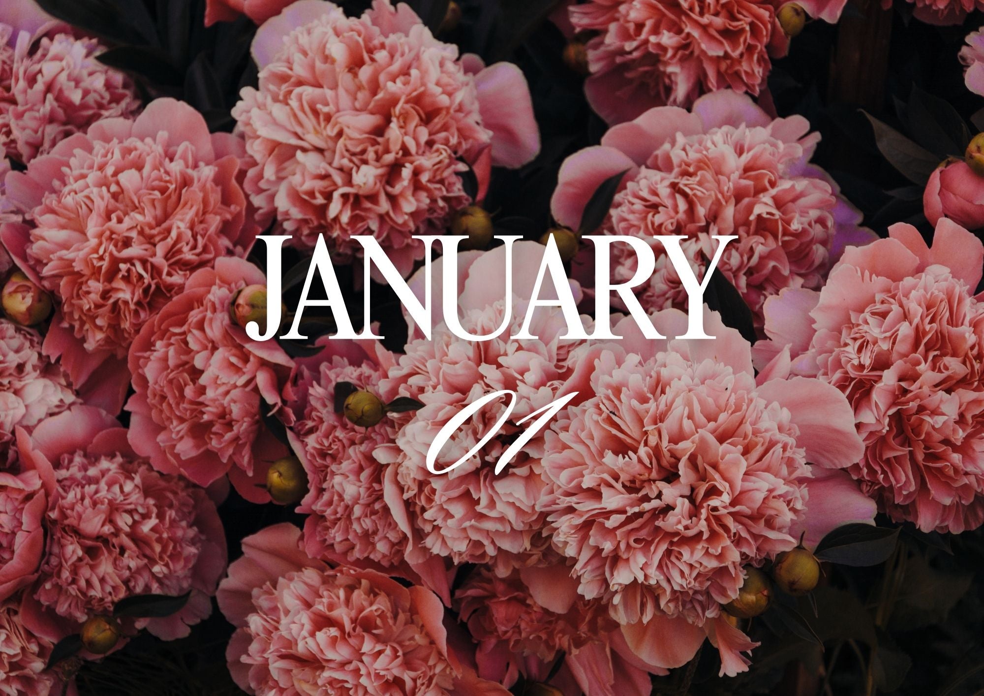 Ayını Yönet, Hayatını Tasarla